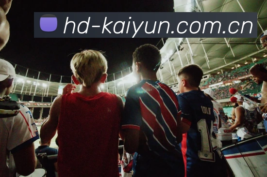 kaiyun 专家