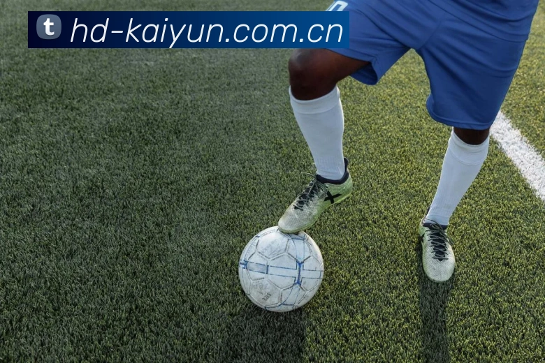 kaiyun 嘉宾