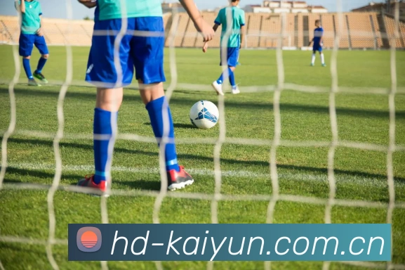 kaiyun 网页版直播界面
